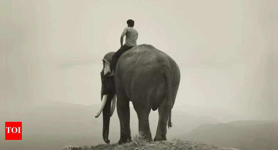 Kumki 2 is not a ‘conventional sequel; it has zero romance: Prabu Solomon