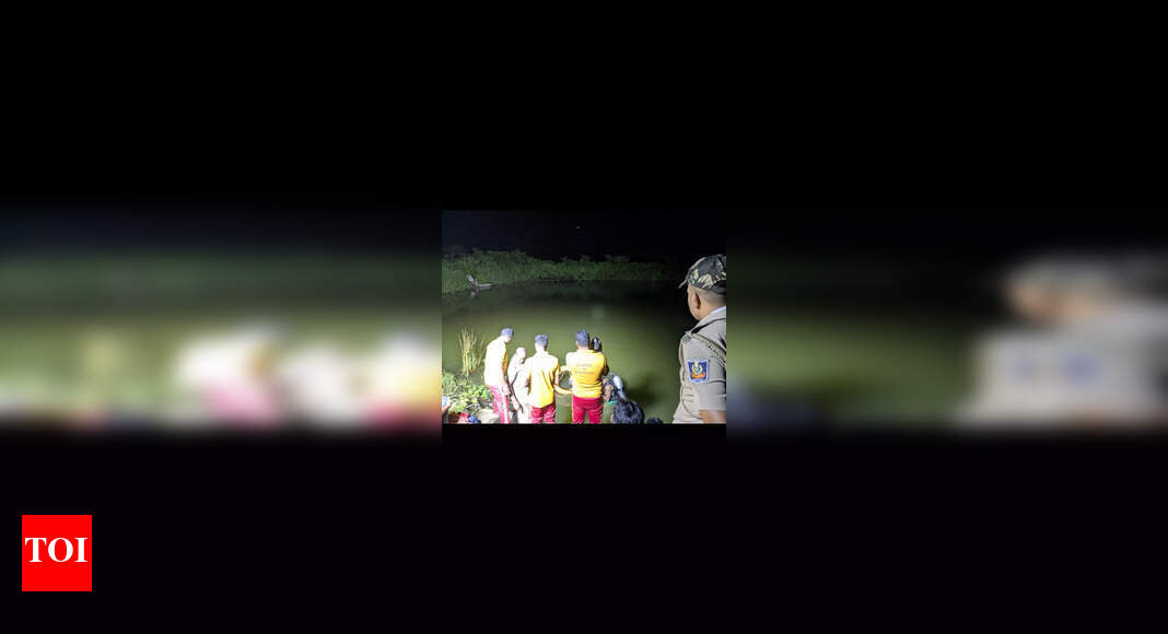 Brothers drown in village pond in Sundargarh