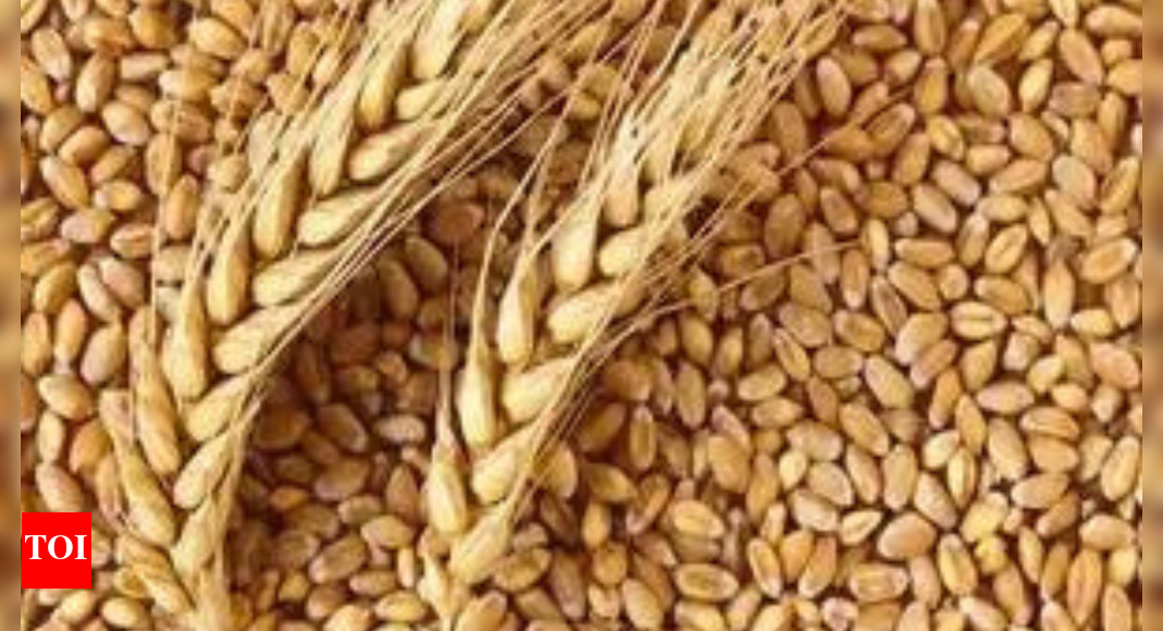 Inflation impact of raised MSP for Rabi crops limited; retail prices stable: Report