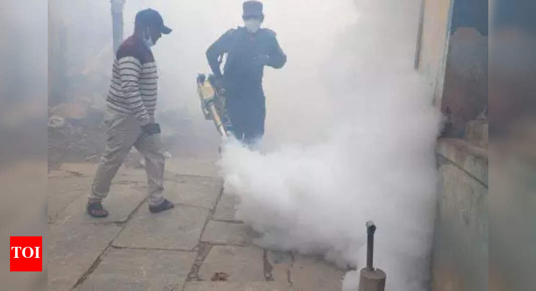 Dengue, chikungunya cases see sharp drop in Karnataka as preventive measures pay off