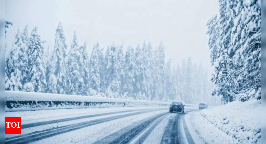Freeze watch issued in California: Know list of affected areas and expected temperatures