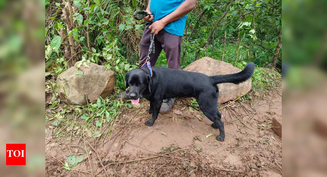 Man, son buried in landslide debris yet to be traced