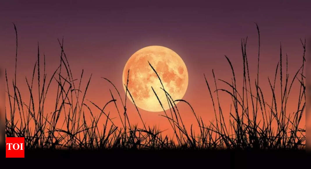 Harvest Moon 2025: When, where and how to see the rare October supermoon in the US