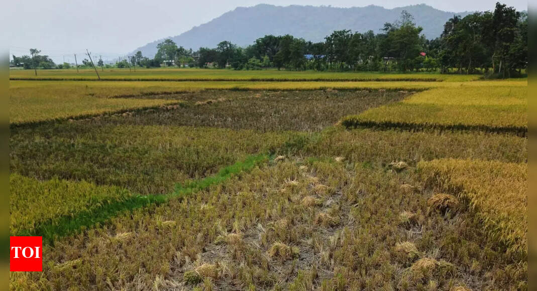 1L sqm in Ambaulim declared as investment promotion area for eco-tourism project