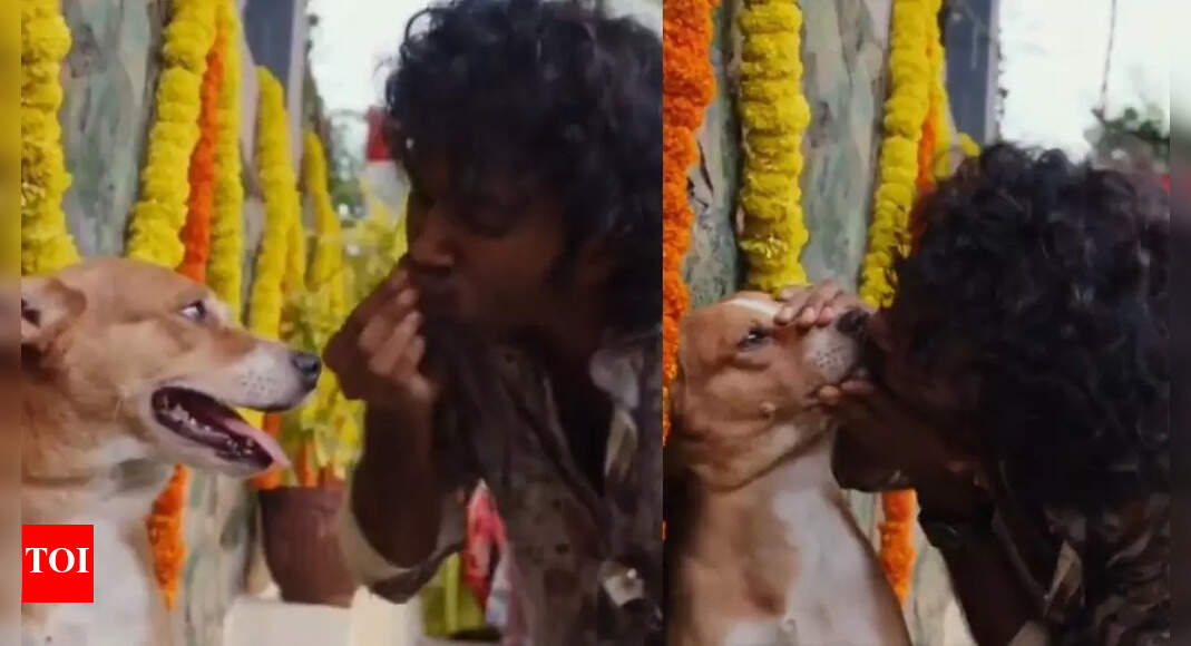 Will 'Dude' face action? Pradeep Ranganathan's kiss scene with dog in third single sparks social buzz