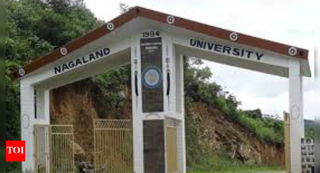 Nagaland University breakthrough in quantum fractals opens new pathways for India’s National Quantum Mission