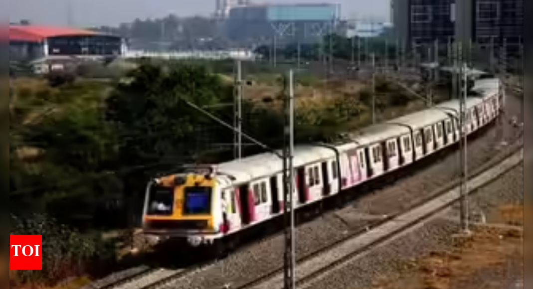 Mumbai local update: Megablocks on Central, Harbour and Trans-Harbour lines today; no day block on Western