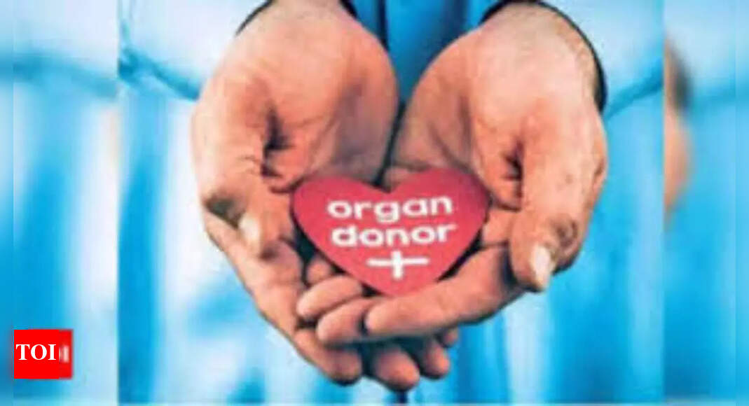 Silent brain deaths cost India thousands of organs every year
