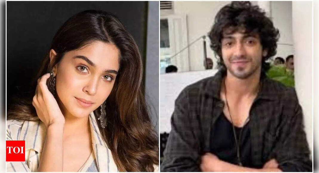 Ahaan Panday and Sharvari to team up?