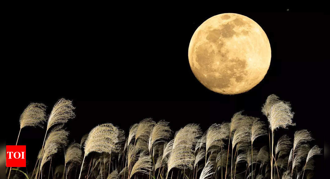 Why the 2025 Harvest Moon is special, what its name means, and when to watch it in full bloom