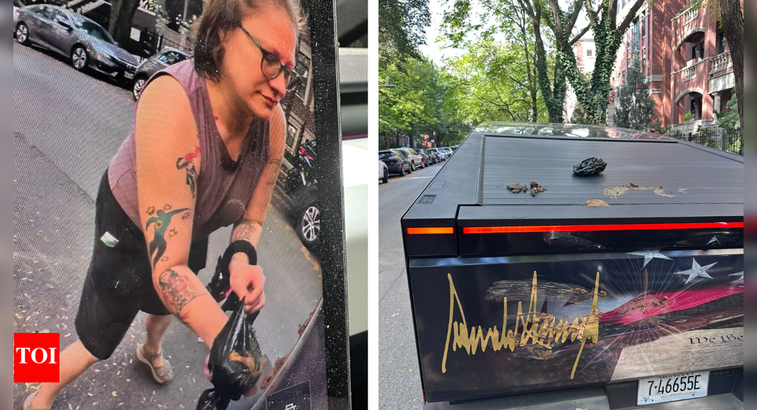 <div>'Mental illness': Woman smears dog poop on Trump-themed Tesla Cybertruck in Chicago — Watch</div>