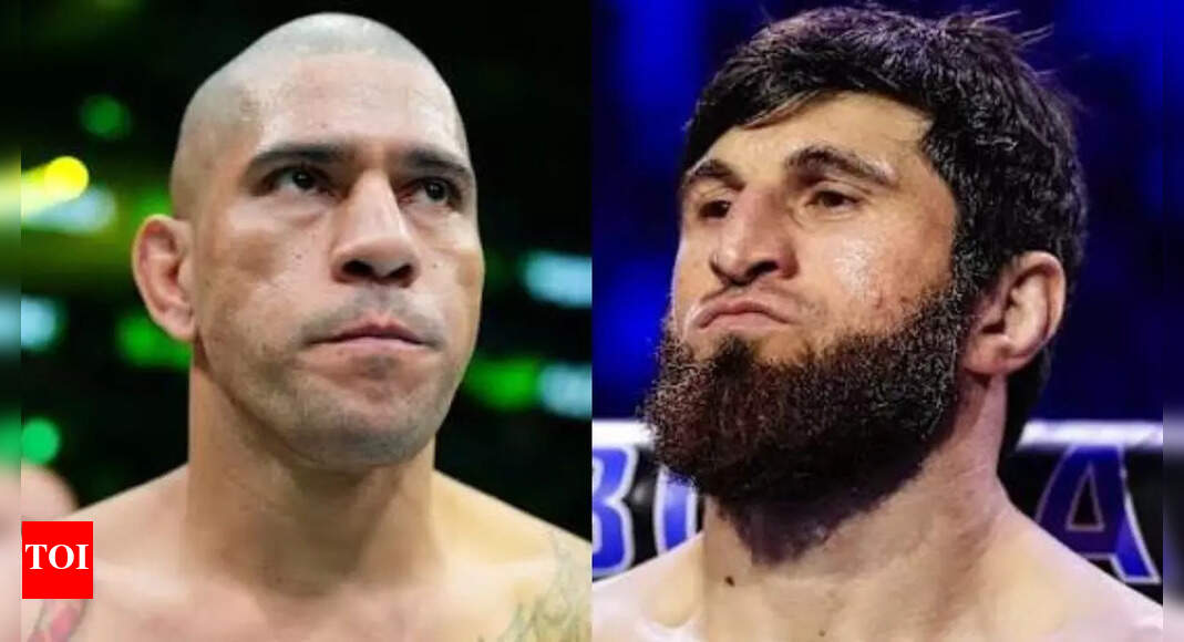 Who will Magomed Ankalaev fight next after crushing defeat by Alex Pereira?