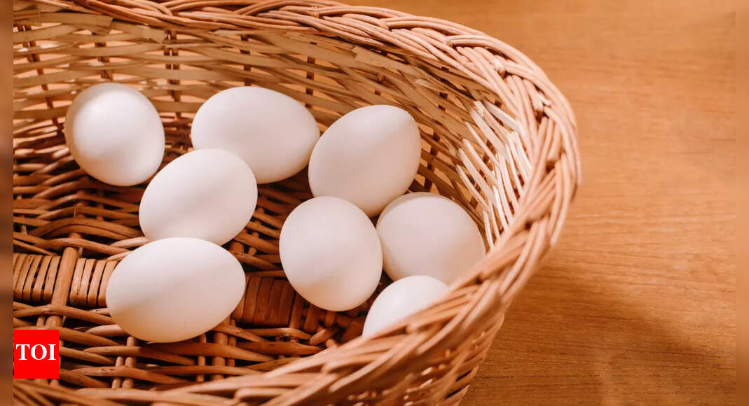 FDA recalls eggs over potential Salmonella contamination fears: Here’s how to stay safe – The Times of India