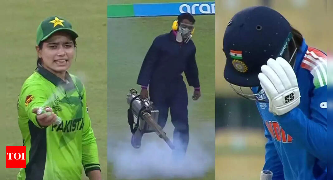 Bugs attack! Ind-Pak match paused for bizarre reason - watch