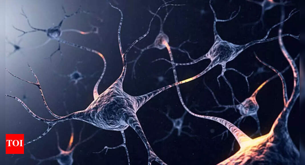 Scientists find excess of one brain protein may predict Alzheimer’s years in advance