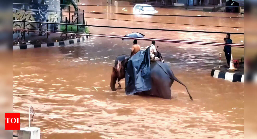 Rain causes severe waterlogging and traffic disruption in Guwahati's Jorabat area