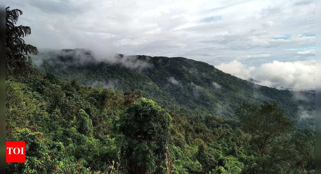 Goa’s proposal to fell 7,774 trees for NH work in Mollem not accepted