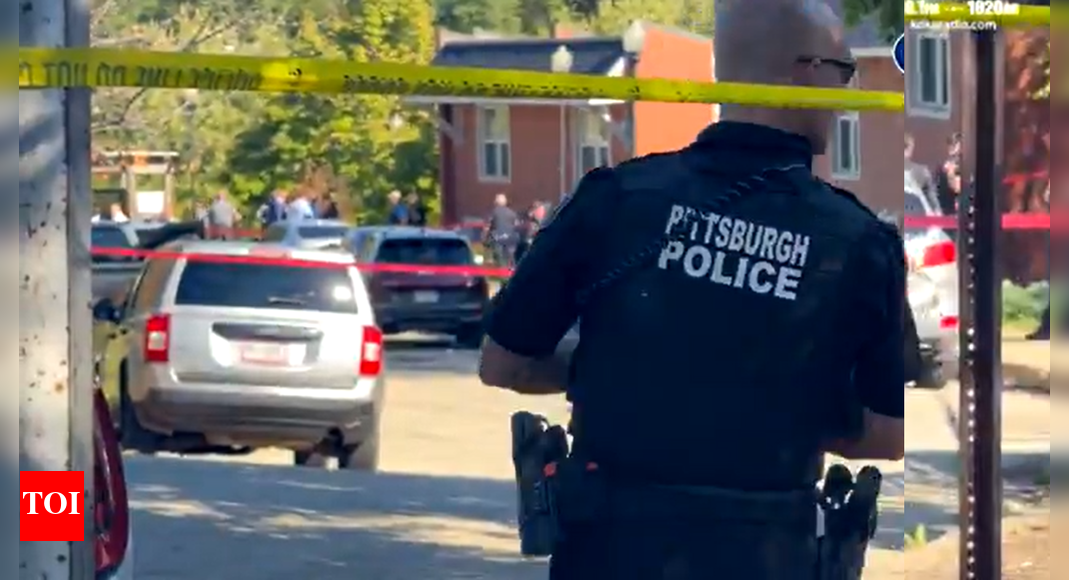 Tried to help, got shot: Indian-origin motel owner killed in US