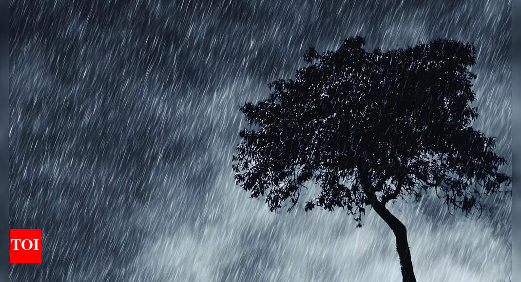 IMD forecasts heavy rainfall in Northeast India; scattered showers across South and East