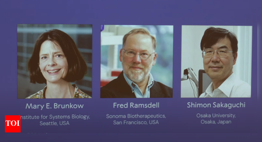Nobel Prize 2025: Three scientists share Physiology or Medicine award; honored for discoveries on peripheral immune tolerance