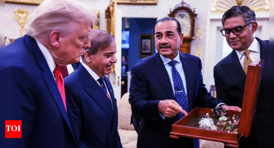 Mining diplomacy: Pakistan sends first shipment of critical minerals to US; month after $500m deal