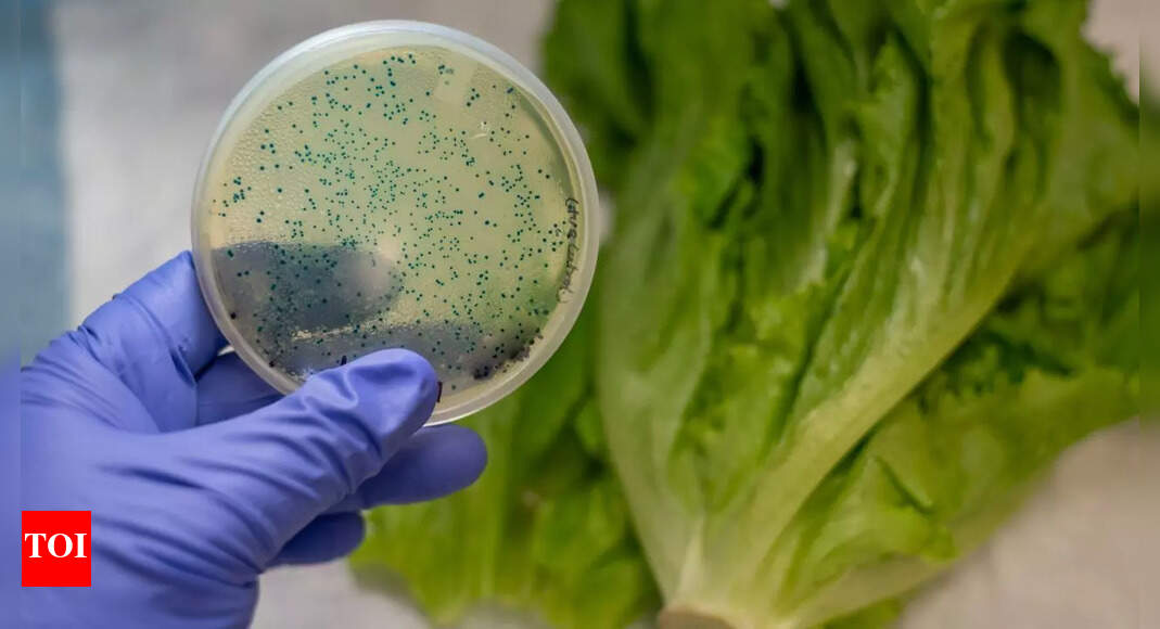 6 kitchen mistakes that could expose you to harmful E. coli and cause serious infections | – The Times of India