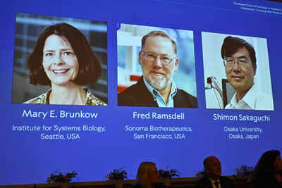 Meet the 2025 Nobel laureates in Physiology: Degrees and labs that shaped their careers