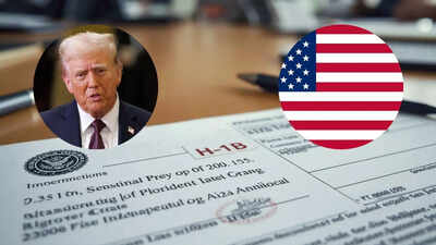Donald Trump's H-1B visa fee hike: Why global tech startups outside US are ‘happy’ with new rules