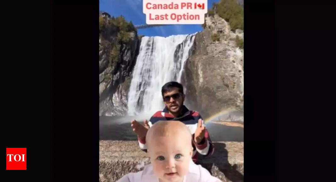 <div>'Parasite class': Outrage over Indian influencer asking people to get Canada PR through babies, 'as last option'</div>