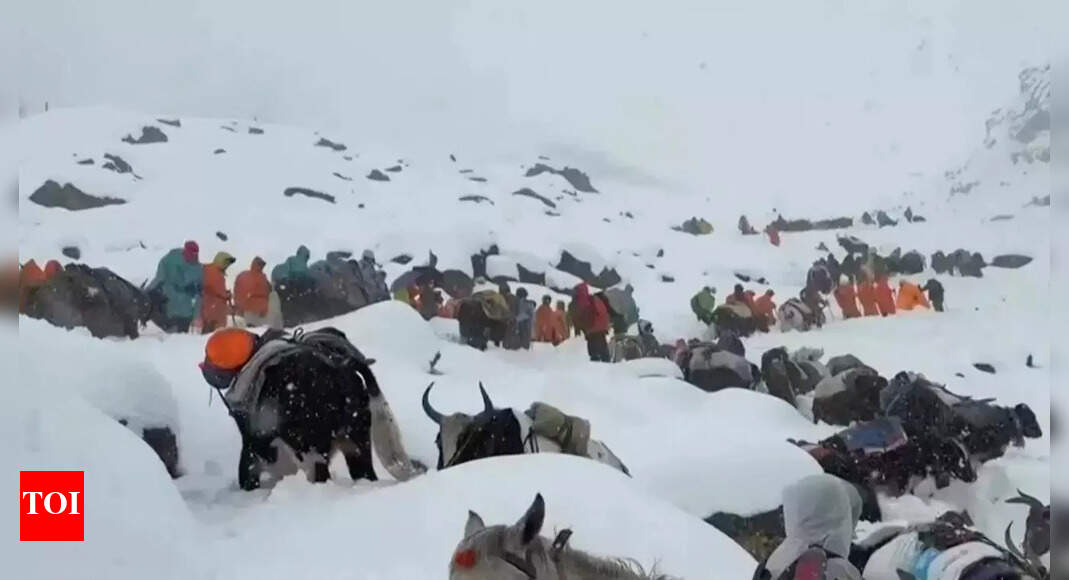 'Had to clear snow every 10 minutes': Eyewitnesses recall chaos of Everest snowstorm; 1 dead, hundreds stranded