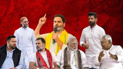 Bihar elections 2025: Castes, coalitions, and calculations - how numbers stack up
