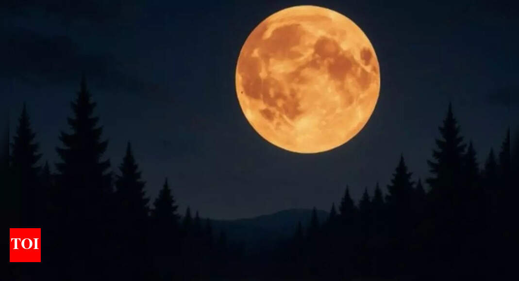 Rare celestial show in the US: Four back-to-back supermoons to shine over the US from October 2025