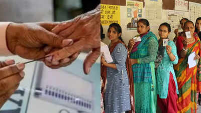 Assembly elections: Over 48L electors eligible to vote in Patna district