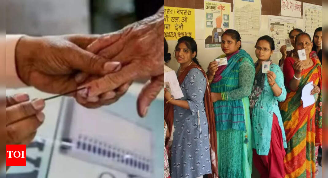 Assembly elections: Over 48L electors eligible to vote in Patna district
