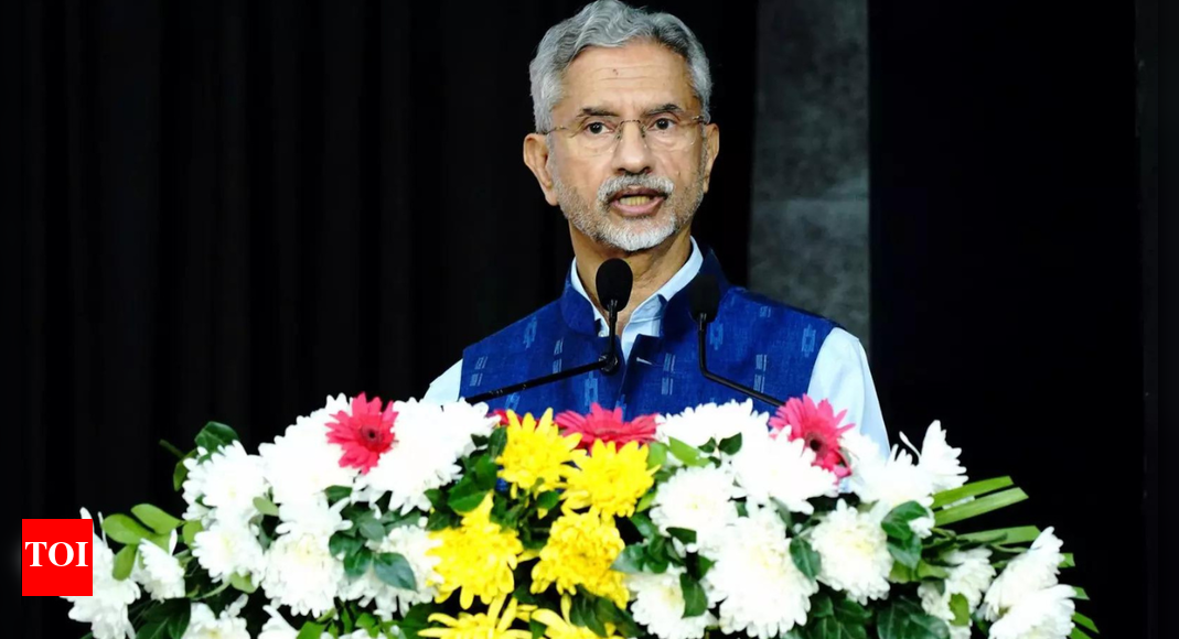 <div>'India's rise taking place in turbulent era': EAM on new world order; challenges lie ahead</div>