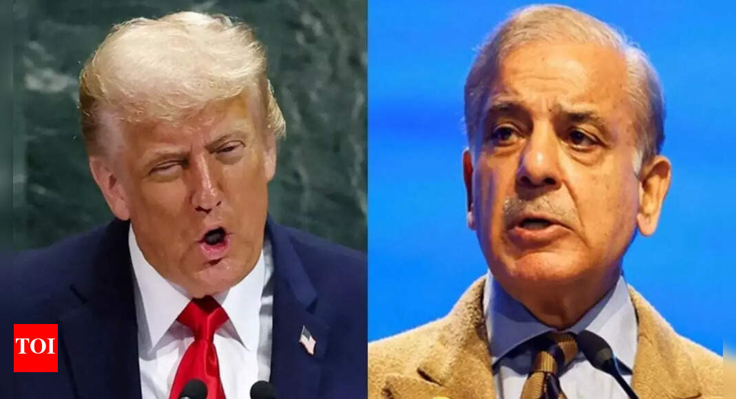 La Ore: Pakistan claims to have exported rare earth elements to US