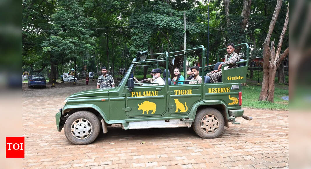 This winter, take an open air safari in Betla National Park