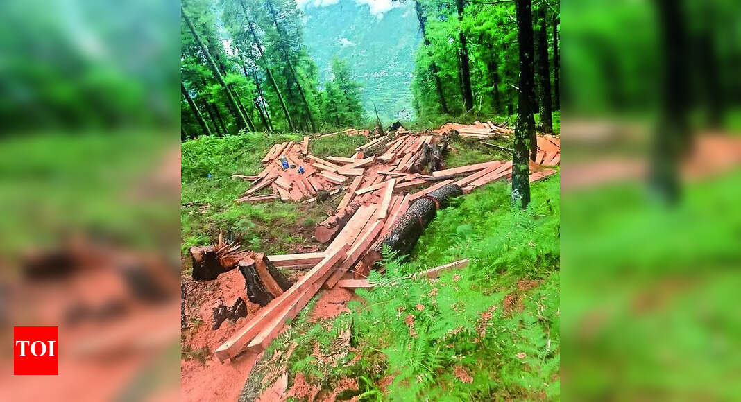 No new mining nods in ESAs: Green body