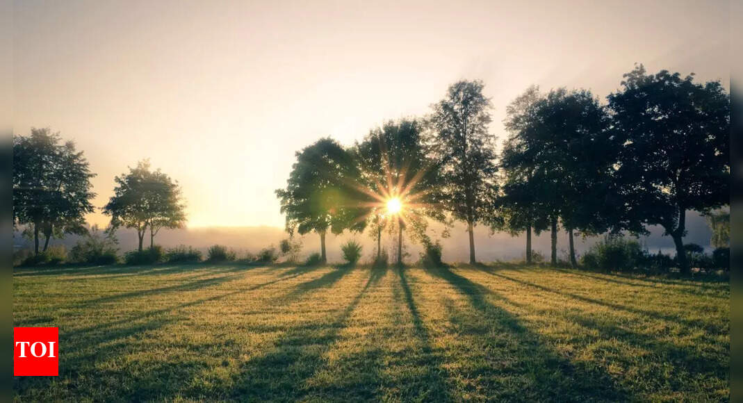 Morning Sunlight: Reset your sleep cycle: Could a few minutes of morning sunlight fix your sleep? | – The Times of India