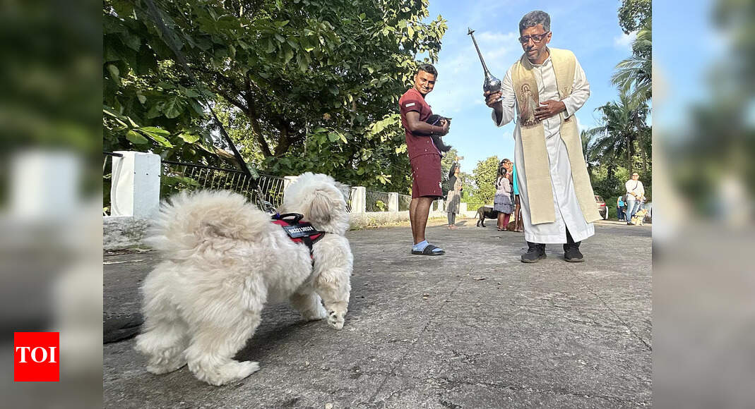 Barks, purrs, and amens: St Francis of Assisi comes alive in Chicalim as pets line up for priest’s blessings