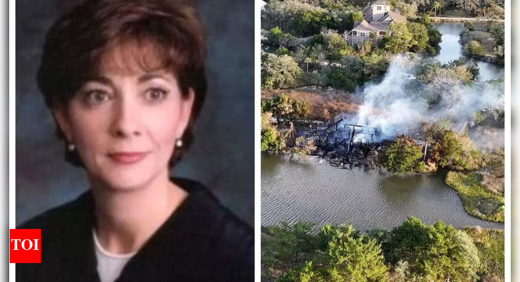 <div>How did South Carolina judge Diane Goodstein's beach house catch fire? Viral video shows waterbody nearby</div>