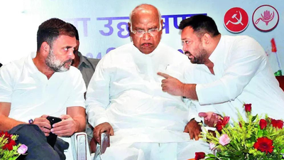 Bihar polls will test opposition's resilience at national level