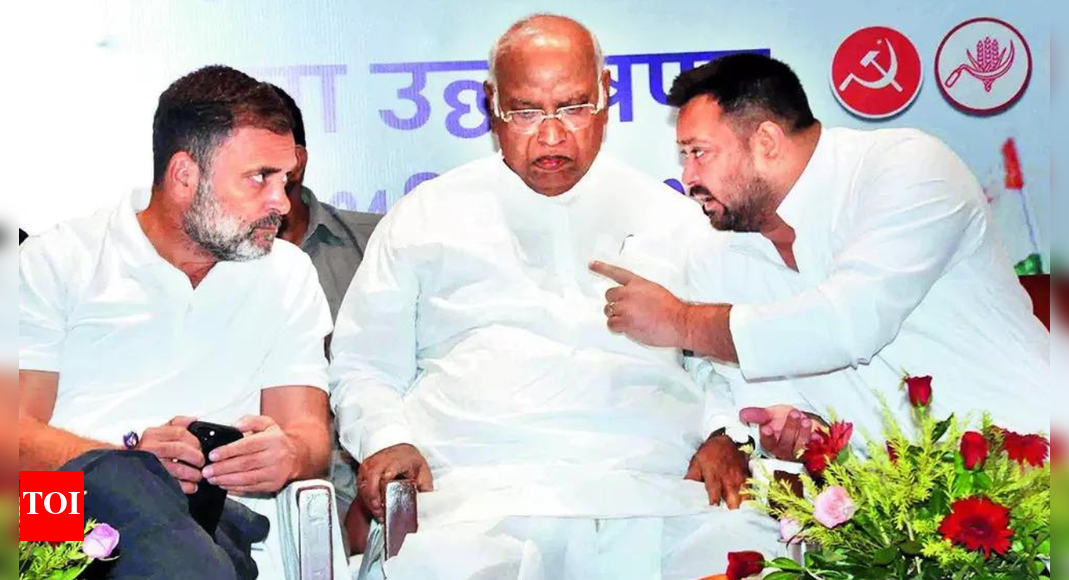<div>Bihar polls will test opposition's resilience at national level</div>