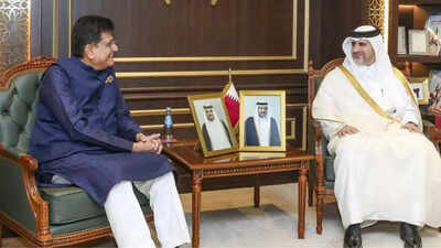 India-Qatar trade deal by Q3 next year: Piyush Goyal
