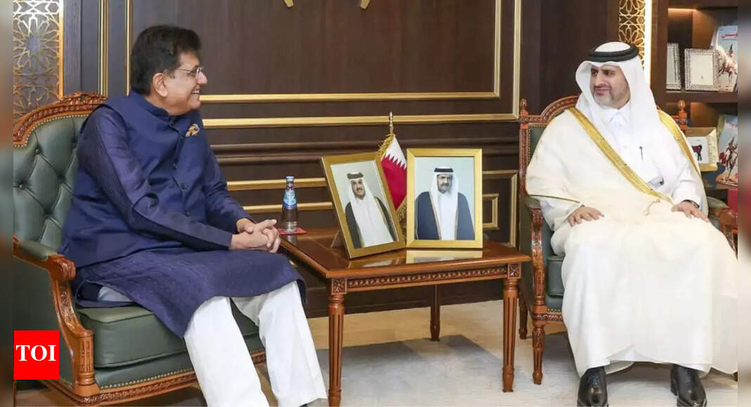 India-Qatar trade deal by Q3 next year: Piyush Goyal