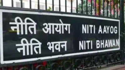 Leverage FTAs to boost leather, footwear exports: Niti Aayog