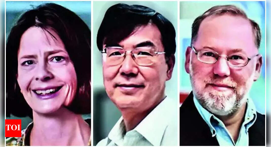 Trio gets Nobel Prize in Medicine for work on immune system