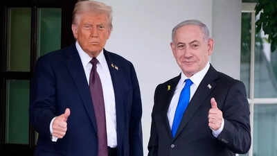 'This is a win. Take it': Donald Trump 'rebuked' Bibi for being 'negative' on call - report
