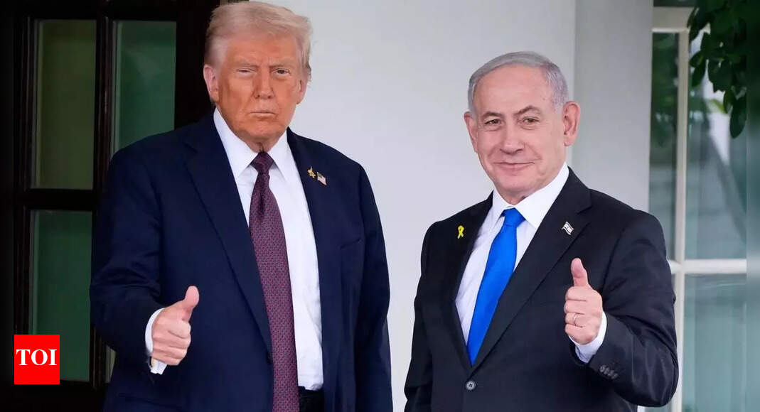 <div>'This is a win. Take it': Trump 'rebuked' Bibi for being 'negative' on call - report</div>