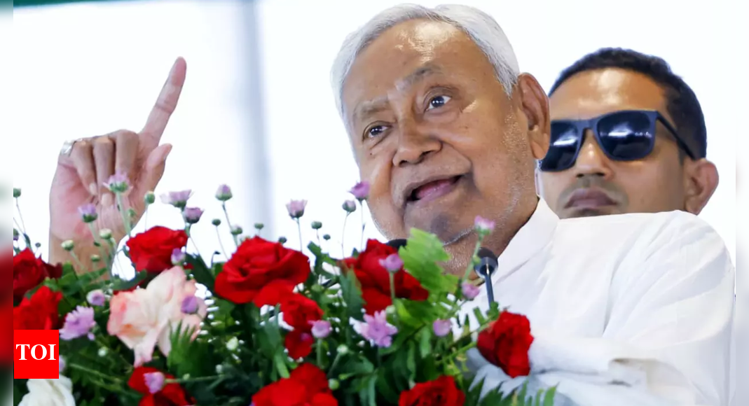 Bihar assembly election: the veteran, the challenger, the disruptor